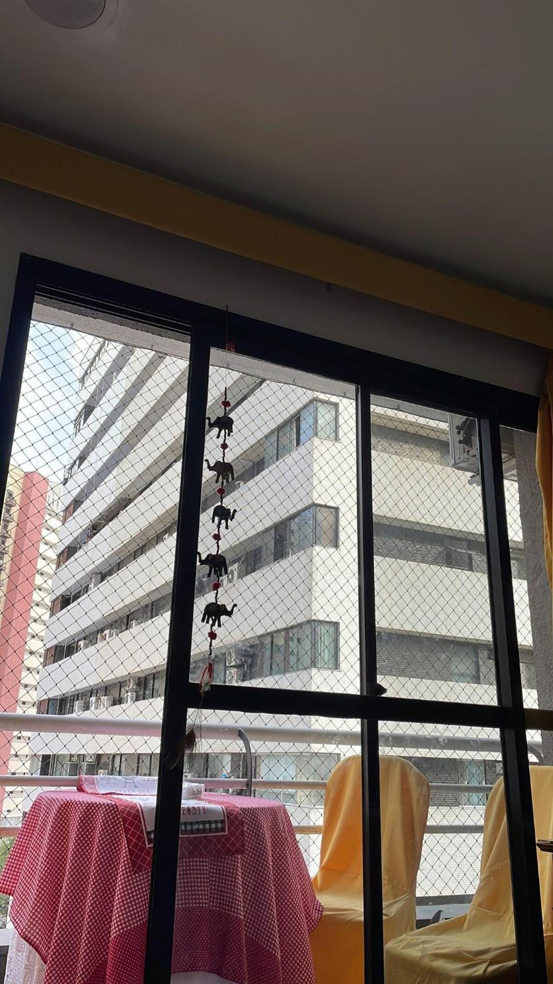 Cat Friendly Fortaleza (Ceara)